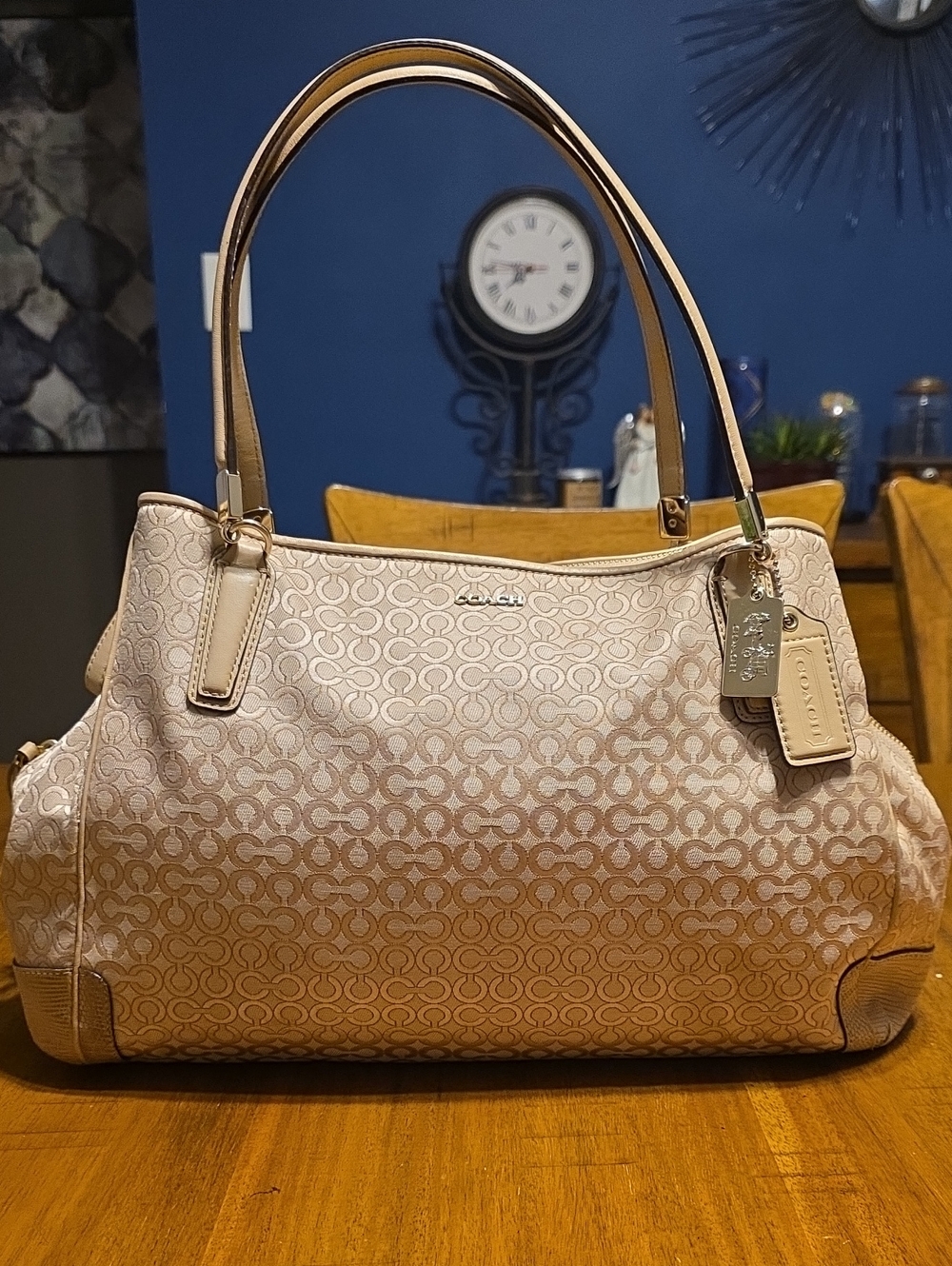 Coach Madison Op Art Pearlescent Café Carryall